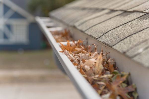 Leaf Barrier Installation in Pasco